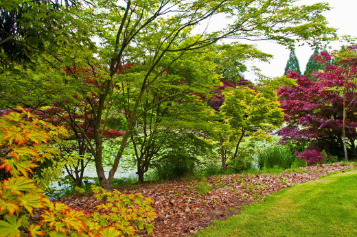 639913 (a): :2560x1700